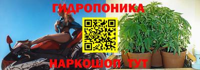 спайс Канаш